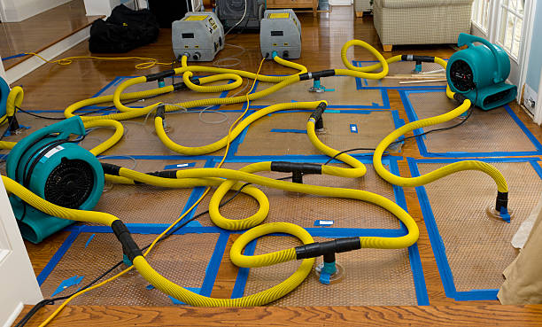 Professional Crawl Space Water Removal technician working in Indian Mound, TN